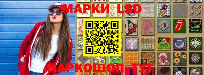 дмт Кингисепп