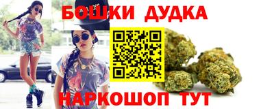 дмт Кингисепп