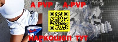 дмт Кингисепп