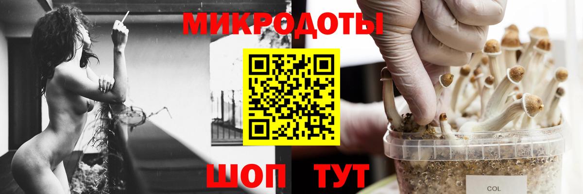 купить наркотик  Вход с VPN  Горно-Алтайск  Галлюциногенные грибы MAGIC MUSHROOMS 