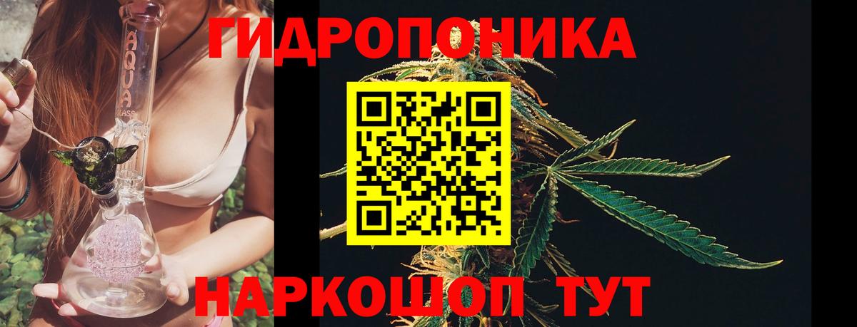 Шишки марихуана конопля  Вход с VPN  Конопля OG Kush  Горно-Алтайск  Шишки марихуана марихуана 
